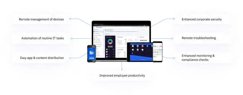 Software & Digital Solutions